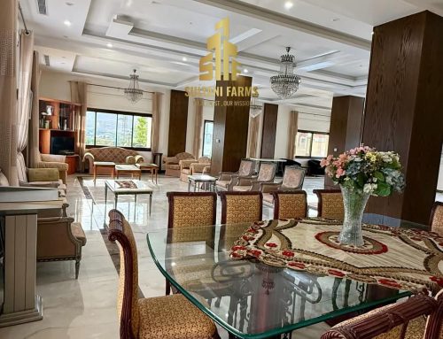 شقق وفيلات مفروشة في ريف دمشق – إقامة مريحة وقريبة من العاصمة